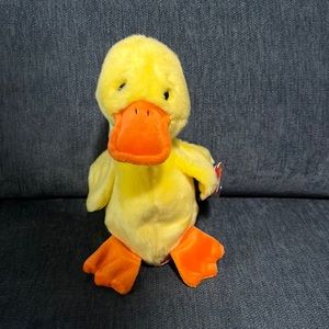 Quakers duck beanie baby!